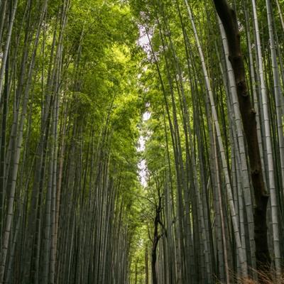 安徽省人大常委会教育科学文化卫生工委主任叶露中被查